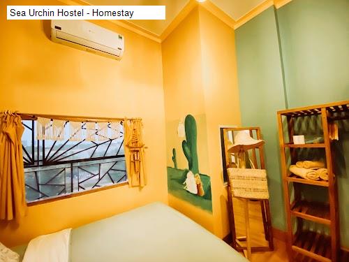 Phòng ốc Sea Urchin Hostel - Homestay