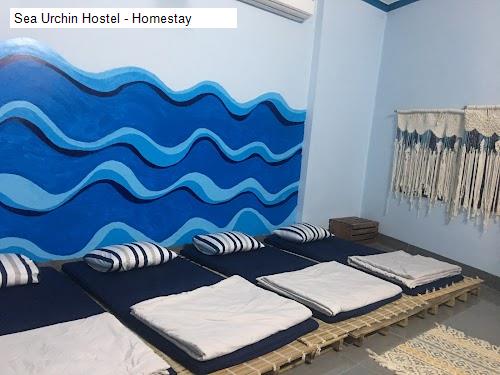 Vệ sinh Sea Urchin Hostel - Homestay