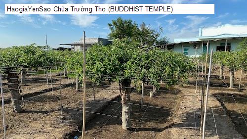Hình ảnh Chùa Trường Thọ (BUDDHIST TEMPLE)